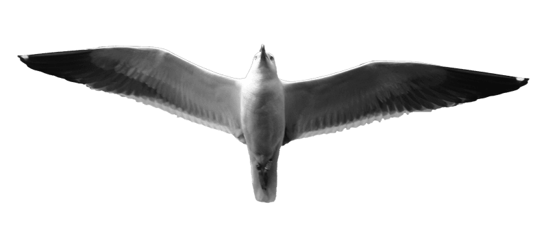 holmbergs elamantyo livsverket e1776864541448