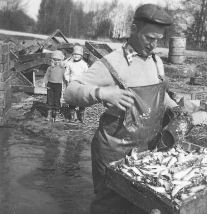 holmbergs fiskestart pappa borje