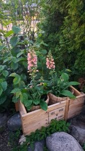 holmbergs unik festplats 1