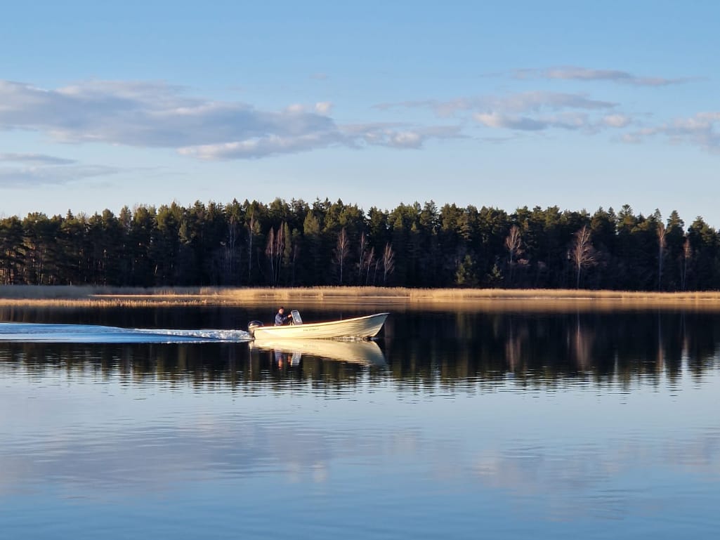 holmbergs viggskar battransport