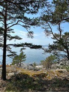 viggskar 1 maisema landskap