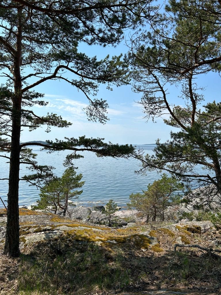 viggskar 1 maisema landskap